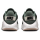 Nike Flex Train